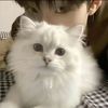 user5218888_