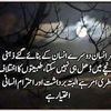 rafaqatjutt099