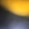 bellamy_001