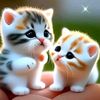 user7603627961180
