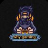 why_gaming369