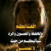 alkhsnwvw85