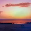 sarca_fx4