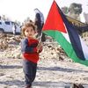 waheed.khan2288