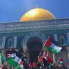 palestinne6