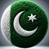 amir.ali3235