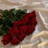noor247801