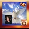 steffimller84