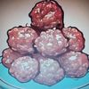 mr.toxic.meatball