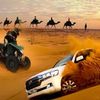 Dubai Desert Excursions