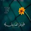 user295476215523