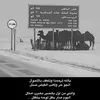 zeed.027