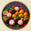 paraisoexotico