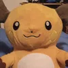 raichu3312