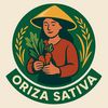 Oriza Sativa