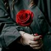 mehreenfatimafa94
