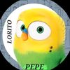 lorito.pepe2