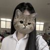 bu.saw76