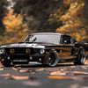 mustangs_camaros71