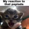 papiadasbodriosas