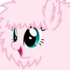 raneandy