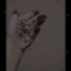 saimon3880