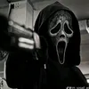 camykien