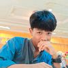 xylem052