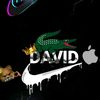 david_f.a14