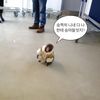 gogo_go1234