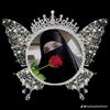 user6187099637494