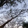 kepo_2205