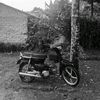 aldayy831