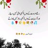 soniyaz20