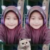 nisa__jir