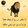 user4737357368817