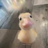 sjdbchdjhbs