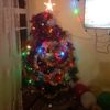ferid.abdullayev688