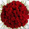 user827509706172