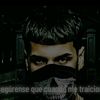 wiliamportillo195