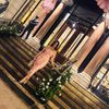 nesreen24bel