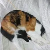 naimahachichi7