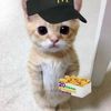 vivui_4