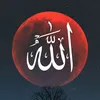 alqurankareem1234