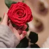 soukainalasri25