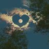 jo0oudy.mhl