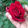 rahaf_31_