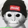 young_creator