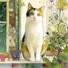 calicocat1522