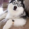casper_leo0